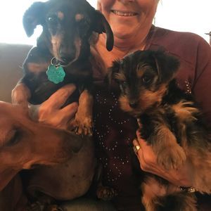 Meet your Posher, Cheri